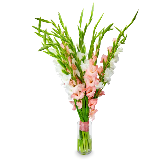 Bouquet of gladiols